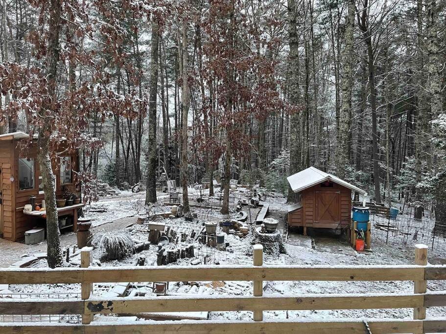 Beautiful & Peaceful Cabin W/ Deck Garden & Fire-Pit Murphy Exterior foto